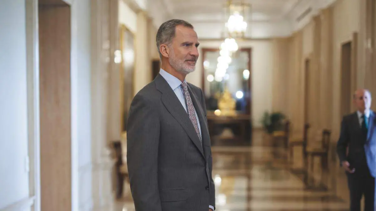 Rey Felipe VI España